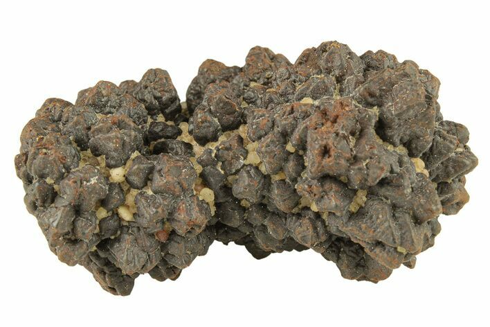 Goethite (Limonite) Pseudomorph after Pyrite/Marcasite - Egypt #257303